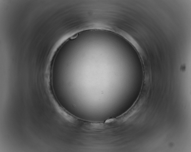 X0000101391144200807141126