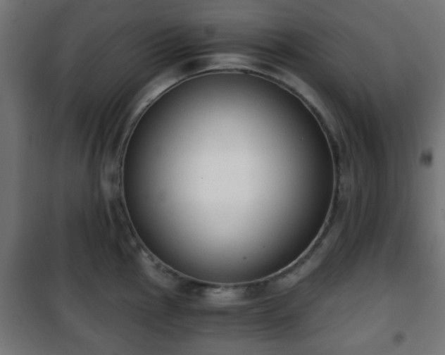 X0000101391145200807141126