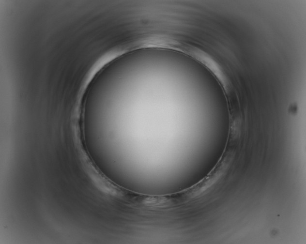 X0000101391146200807141126