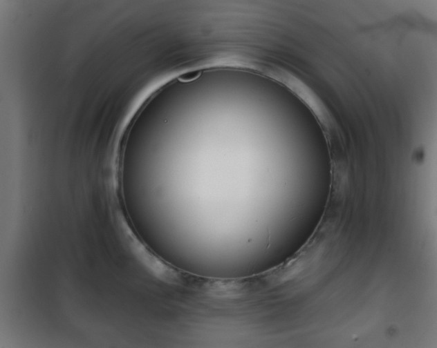 X0000101391148200807141126