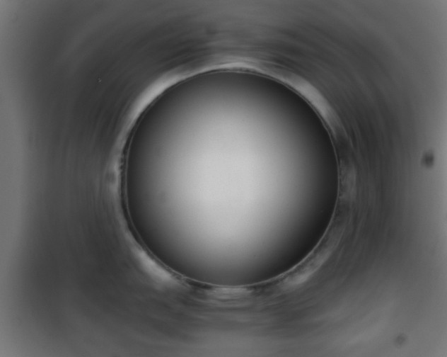 X0000101391151200807141126