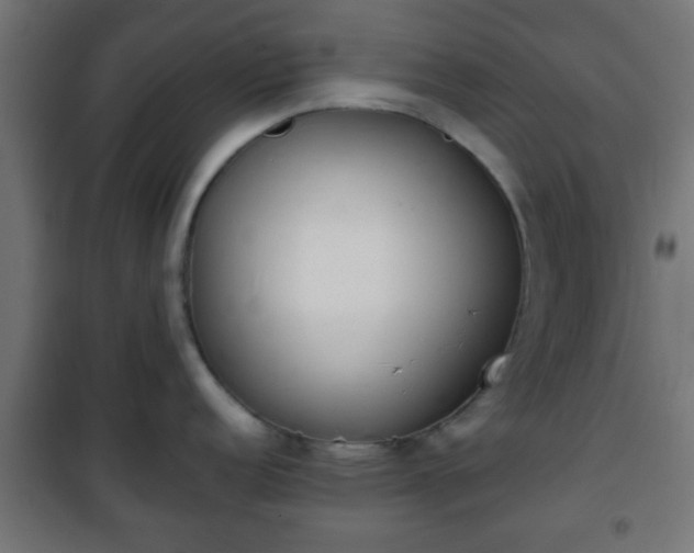 X0000101391152200807141126