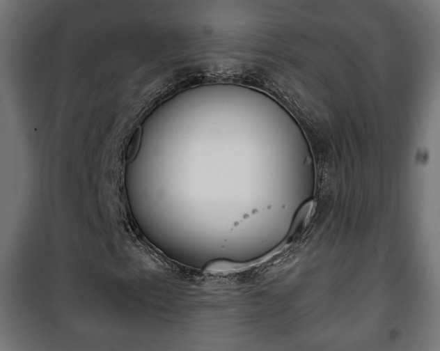 X0000101391153200807141126