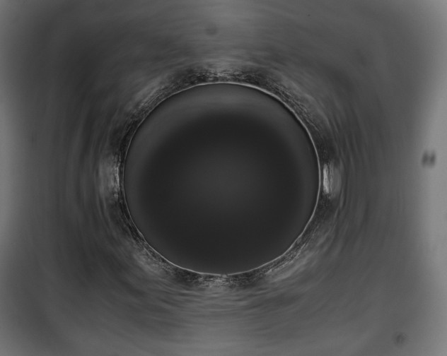 X0000101391155200807141126