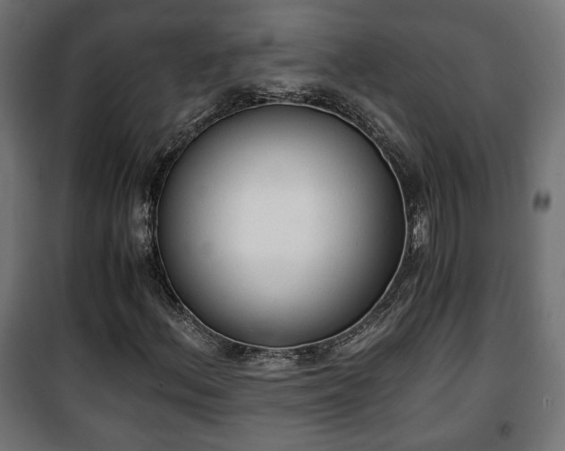 X0000101391156200807141126