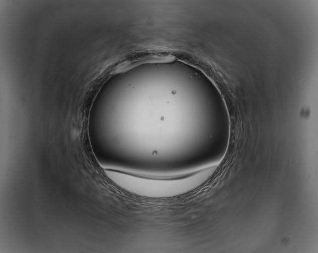 X0000101391157200807141126