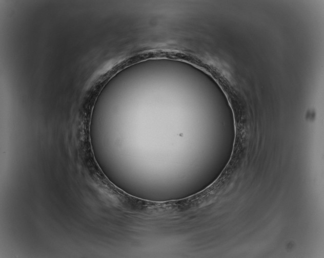 X0000101391159200807141126