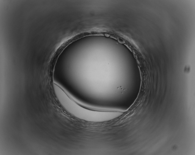 X0000101391160200807141126