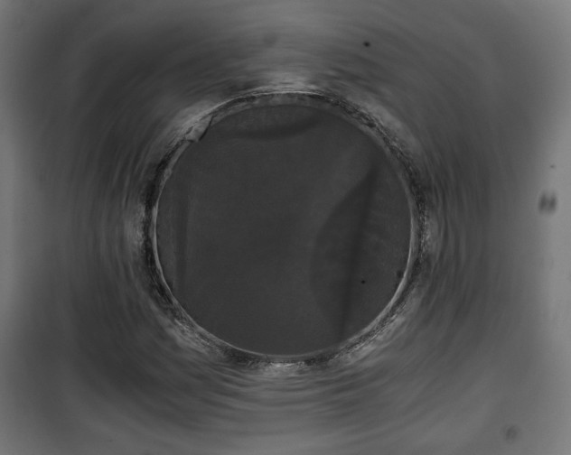 X0000101391161200807141126