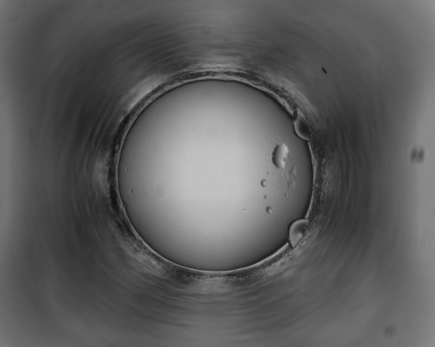 X0000101391162200807141126