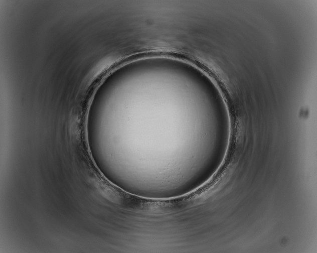 X0000101391163200807141126