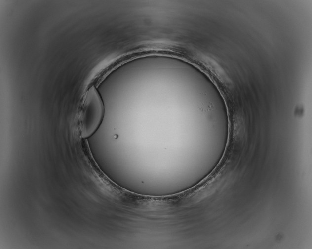 X0000101391164200807141126