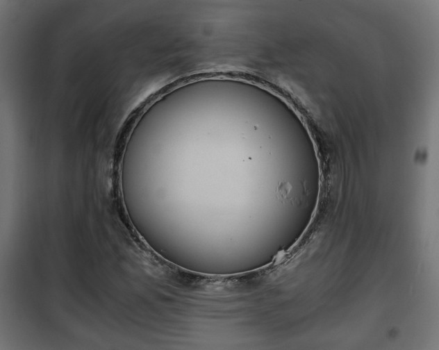 X0000101391165200807141126