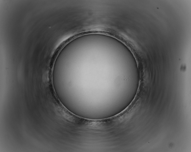 X0000101391166200807141126