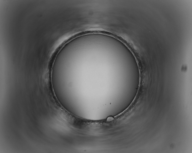 X0000101391167200807141126