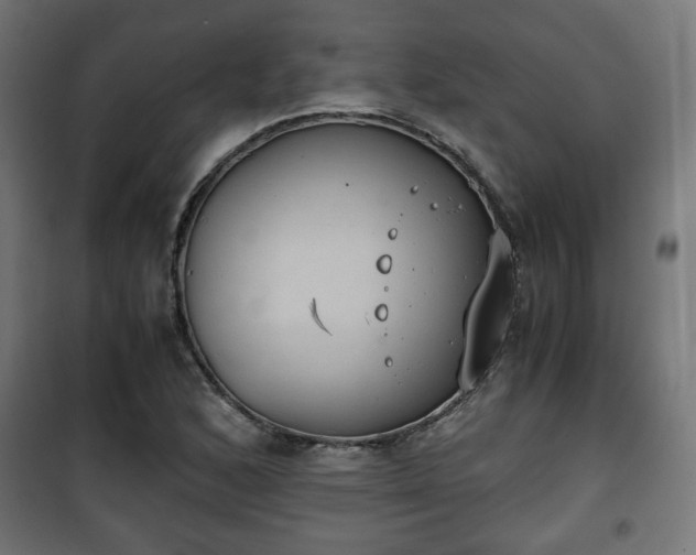 X0000101391168200807141125