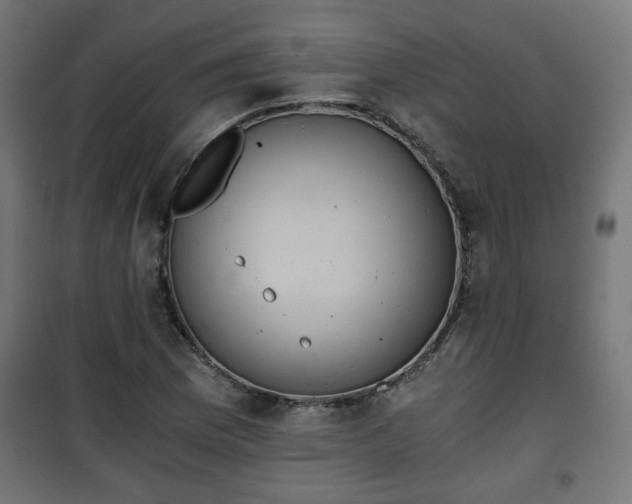 X0000101391169200807141125