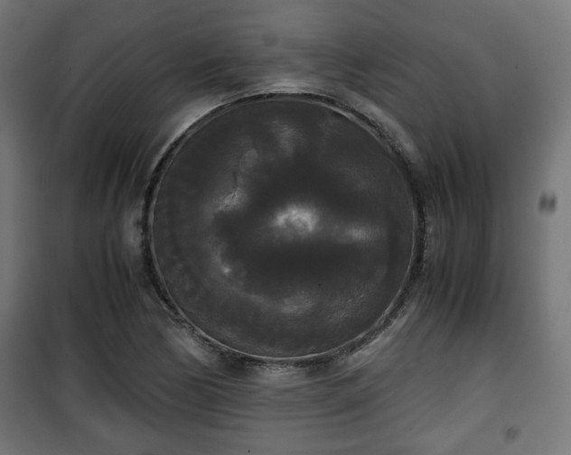 X0000101391170200807141125