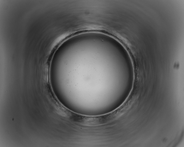 X0000101391171200807141125