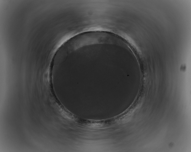 X0000101391173200807141125