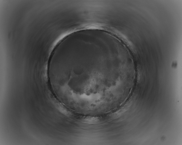 X0000101391174200807141125