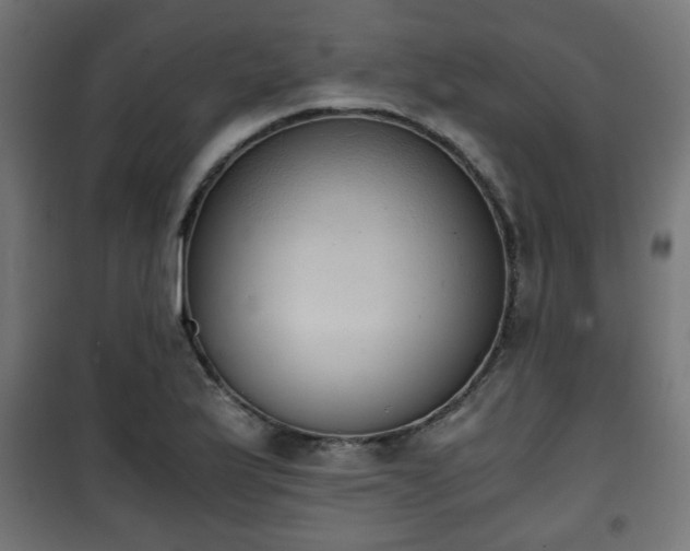 X0000101391175200807141125