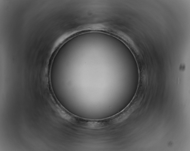 X0000101391176200807141125