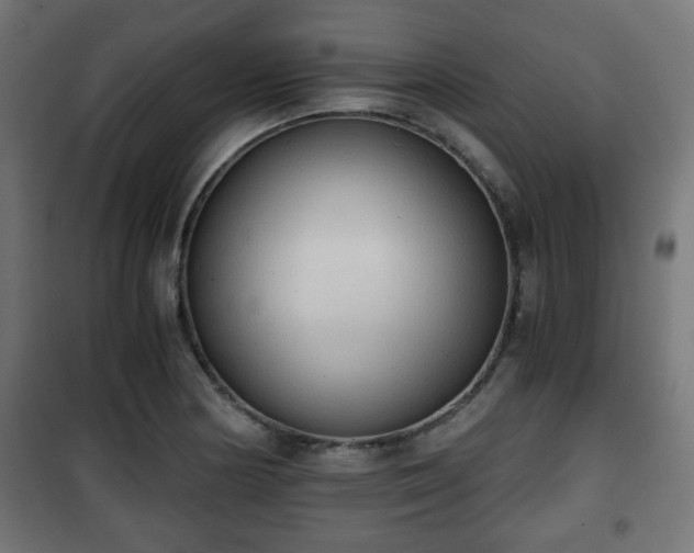 X0000101391178200807141125