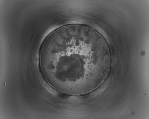 X0000101391179200807141125