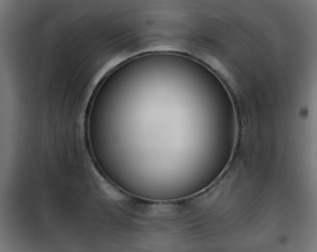 X0000101391181200807141125