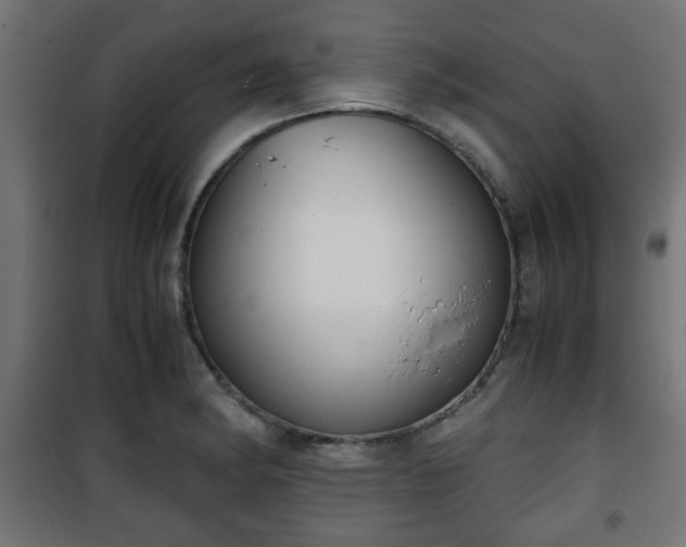 X0000101391182200807141125