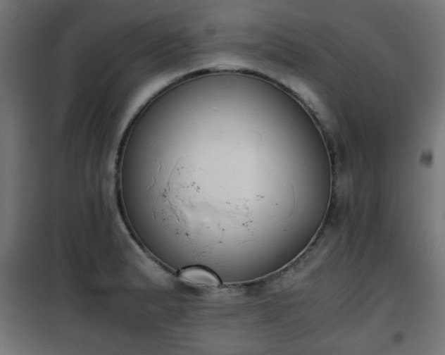 X0000101391183200807141125