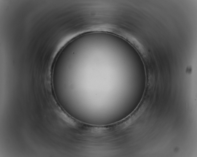 X0000101391184200807141125