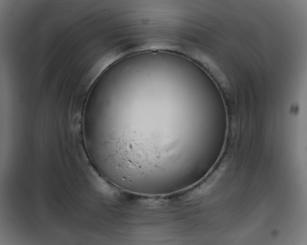 X0000101391185200807141125