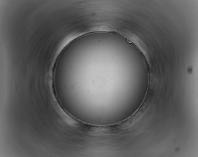 X0000101391187200807141125