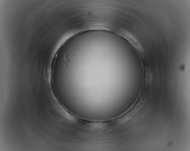 X0000101391188200807141125