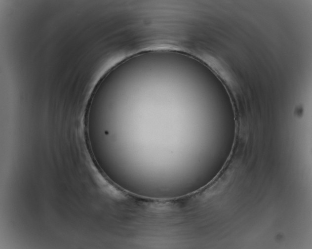 X0000101391189200807141125