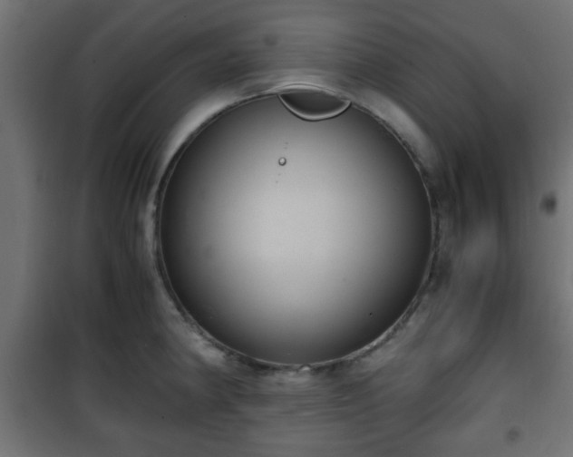 X0000101391190200807141125