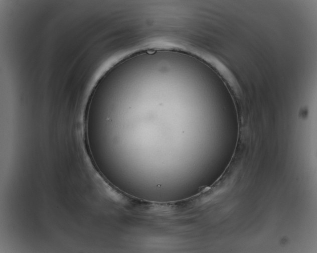 X0000101391191200807141125