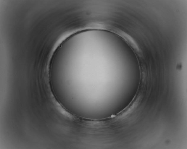 X0000101391192200807141125