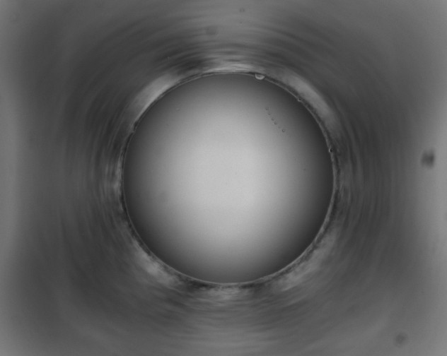 X0000101391193200807141125