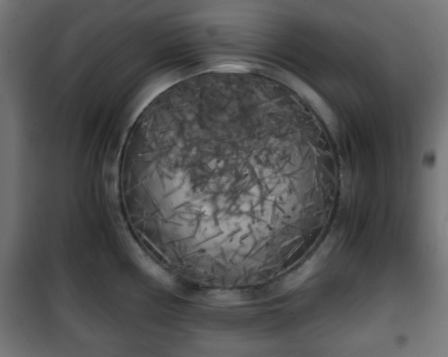 X0000101391194200807141125