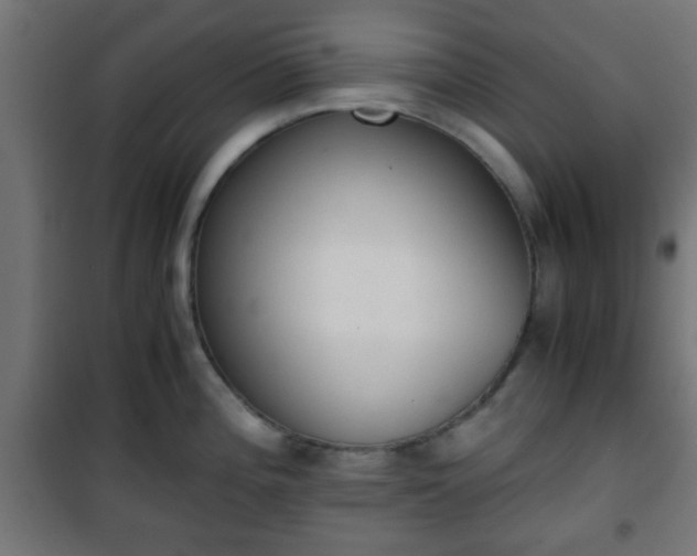 X0000101391196200807141125