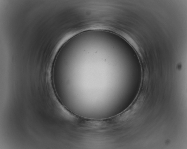 X0000101391197200807141125