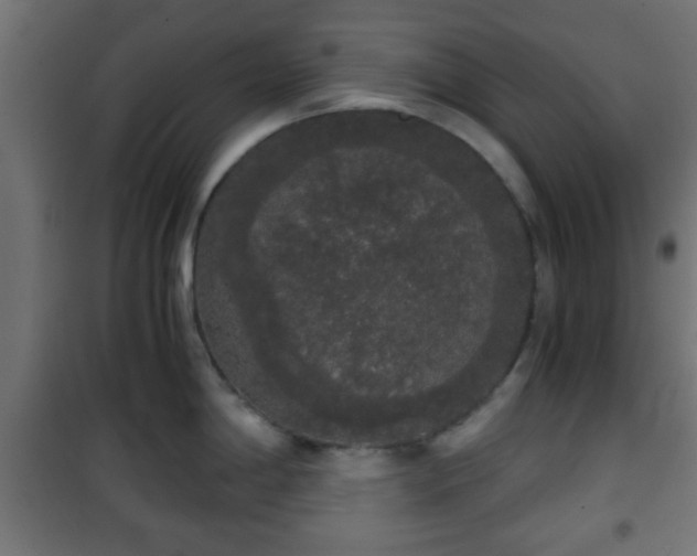 X0000101391198200807141125