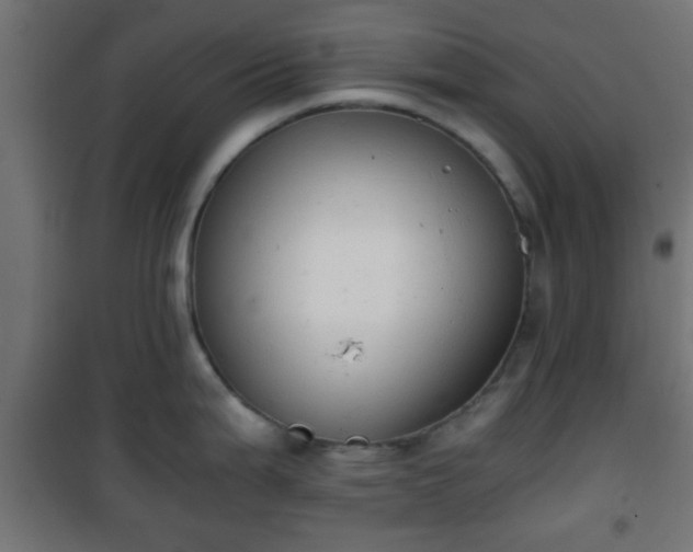 X0000101391199200807141125