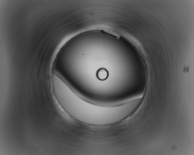 X0000101391200200807141125