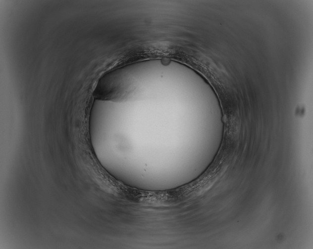 X0000101391201200807141124