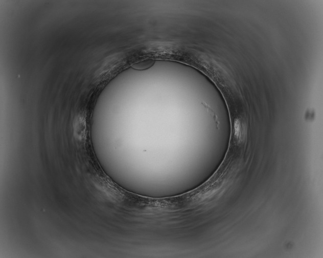 X0000101391203200807141124