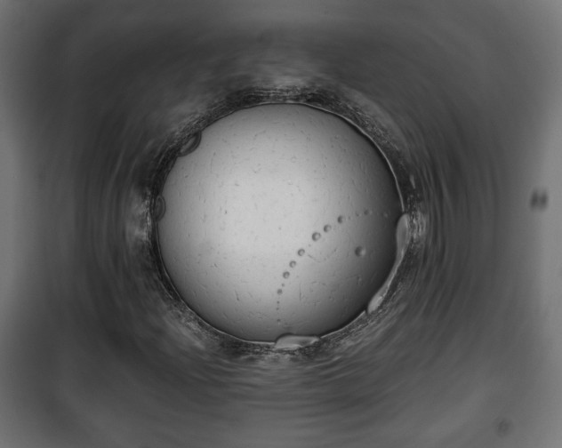 X0000101391204200807141124